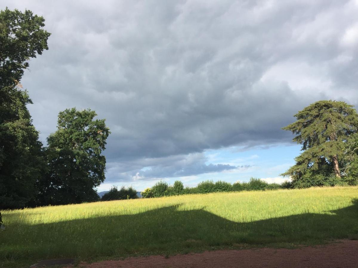 Charentay L'Ancre Vive Bed & Breakfast エクステリア 写真
