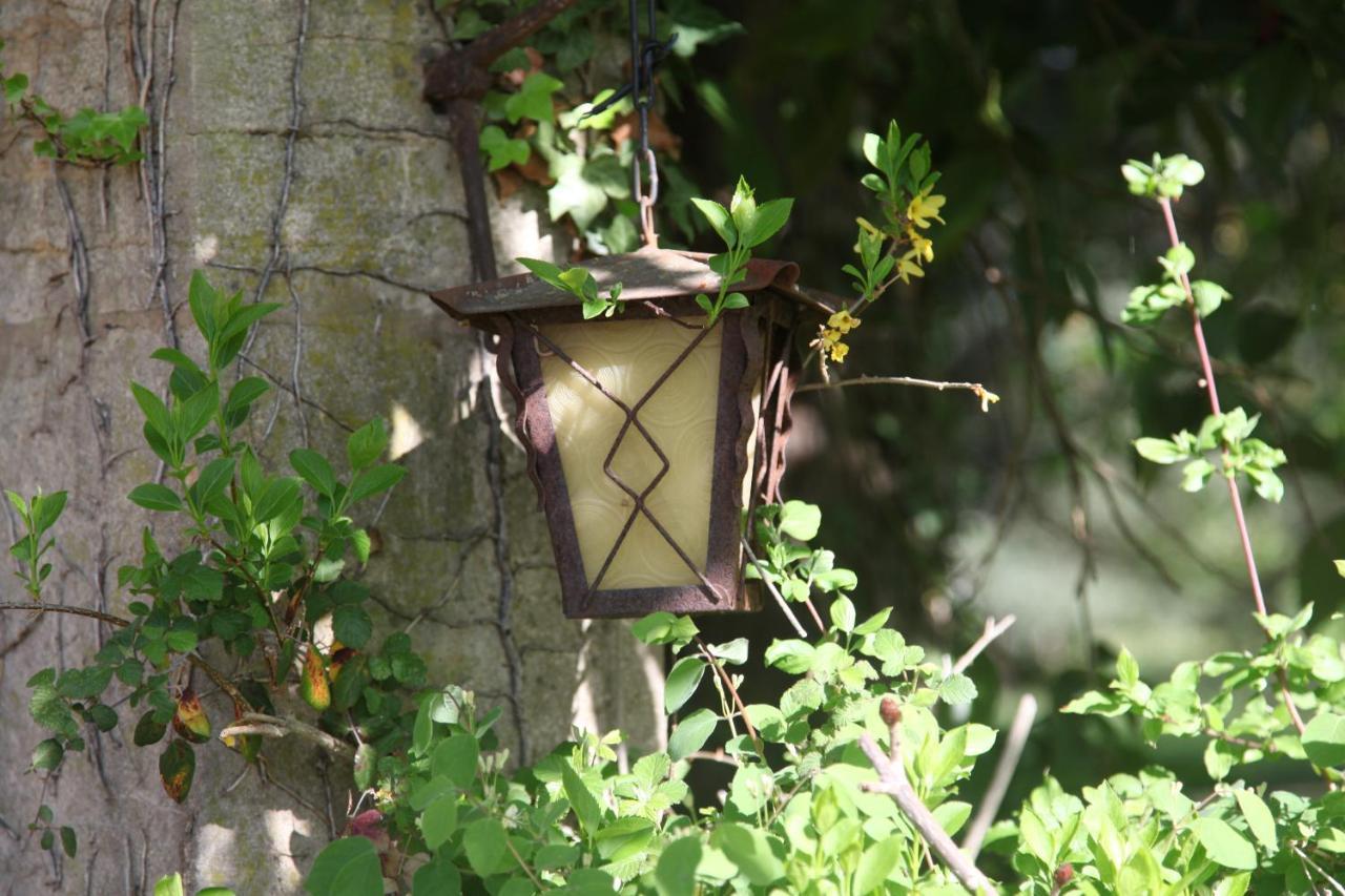 Charentay L'Ancre Vive Bed & Breakfast エクステリア 写真