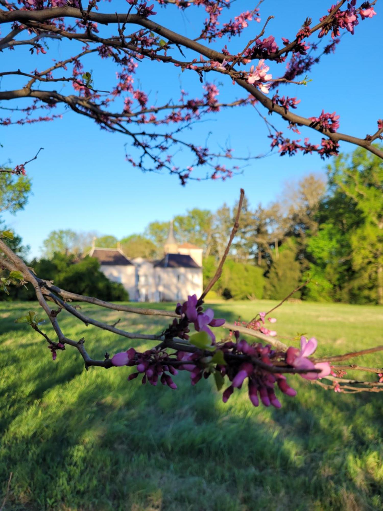 Charentay L'Ancre Vive Bed & Breakfast エクステリア 写真
