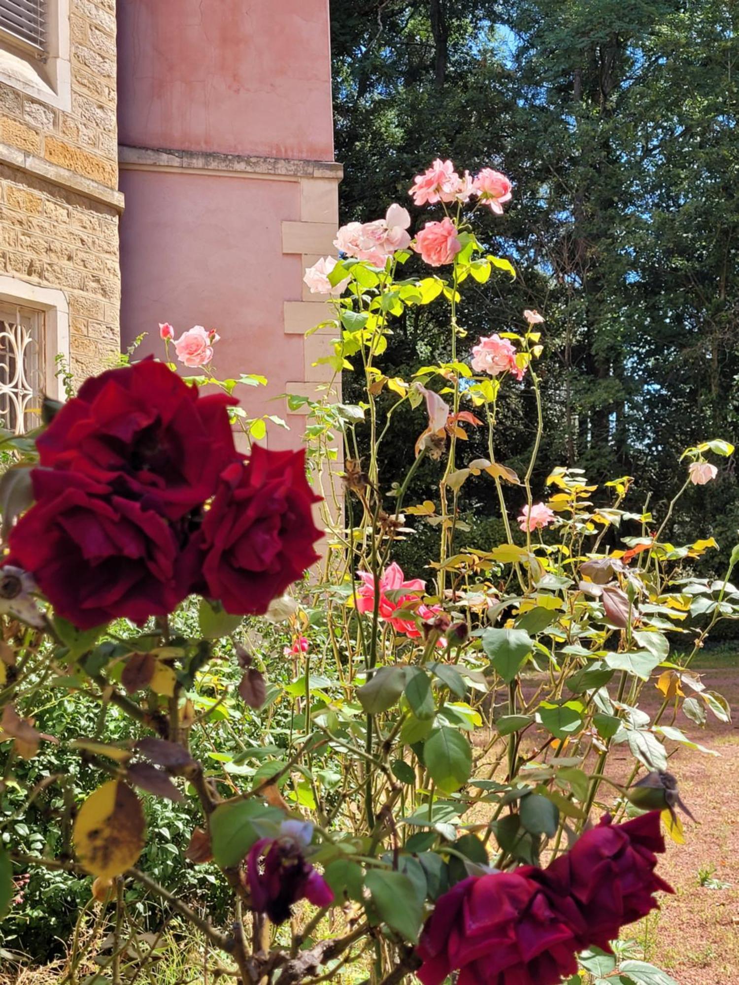 Charentay L'Ancre Vive Bed & Breakfast エクステリア 写真